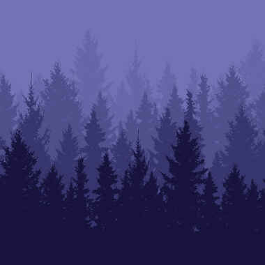 A0543 Hampden Forestry podcast website header image